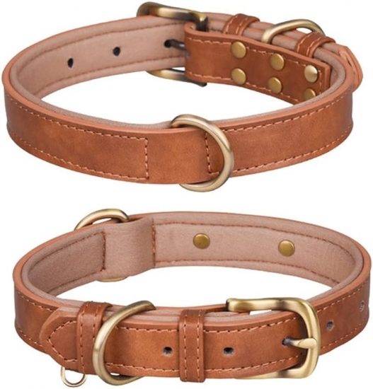 Dog Collars