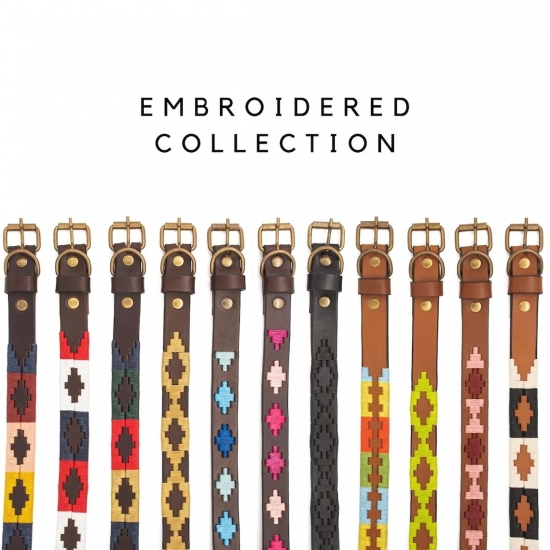 Dog Collars